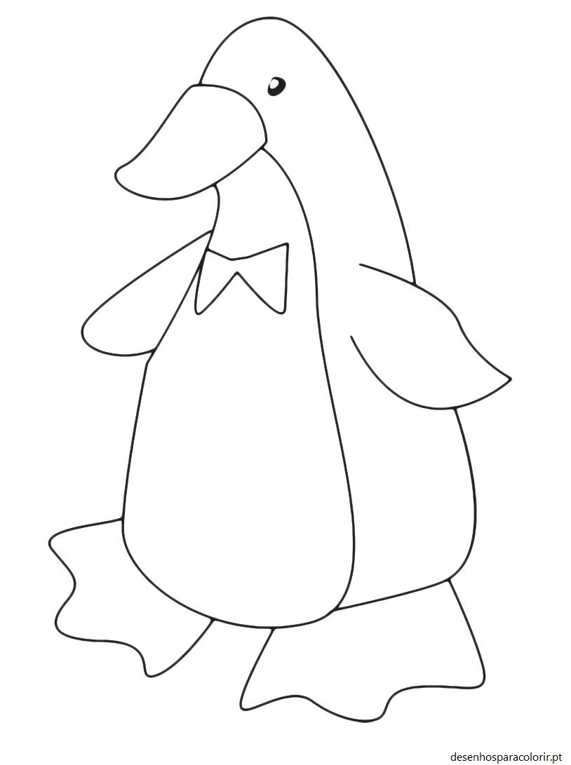Desenhos de pinguins – pinguim 20